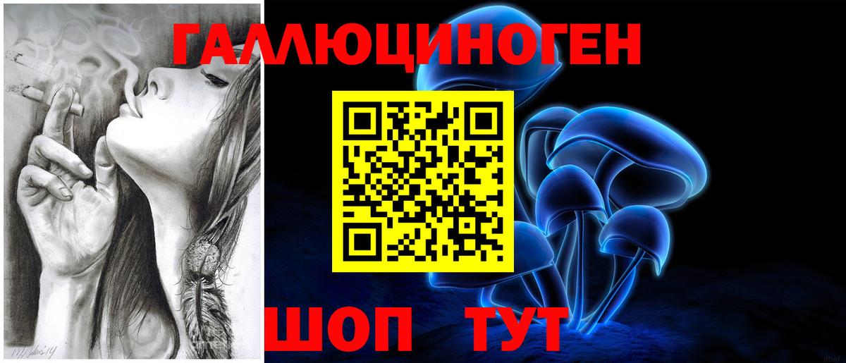 Псилоцибиновые грибы Psilocybine cubensis  Вход с VPN  Артёмовский 